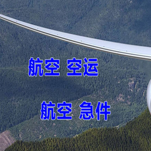 额济纳旗桃来机场物流快递-选东方航空和上海航空