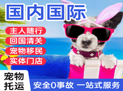 额济纳旗桃来机场物流国际宠物托运 【国